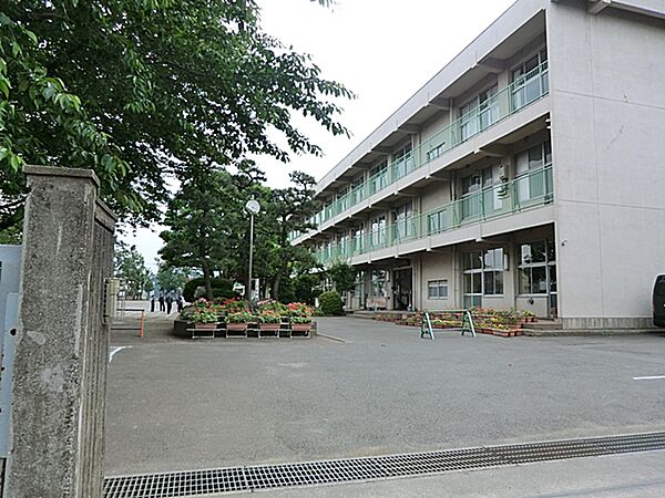 小学校 600m 相模原市立並木小学校