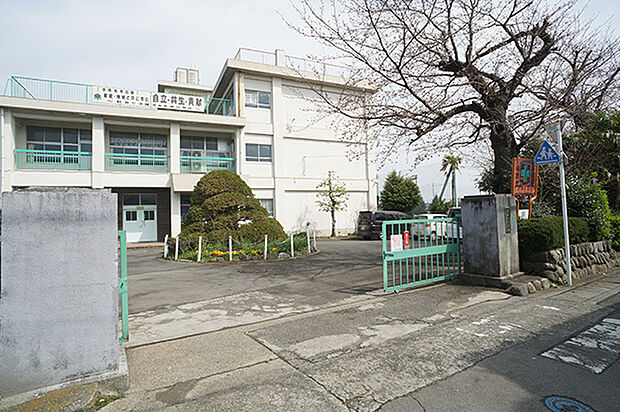 中学校 1200m 南足柄市立岡本中学校