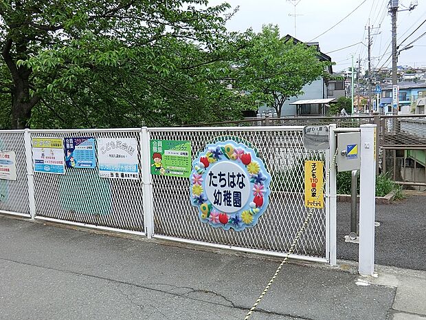 幼稚園・保育園 900m 学校法人立華学園たちはな幼稚園