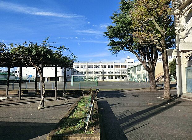 小学校 750m 横浜市立南瀬谷小学校