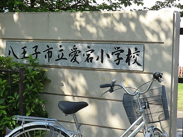 小学校 1500m 八王子市立愛宕小学校