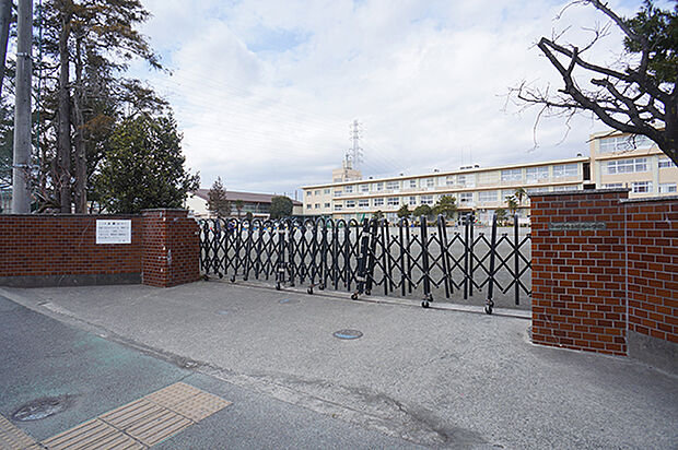 小学校 640m 小田原市立桜井小学校