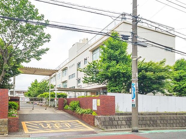 小学校 350m 横浜市立藤の木小学校