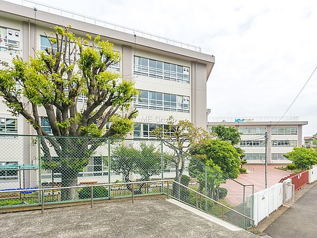 小学校 550m 川崎市立長尾小学校