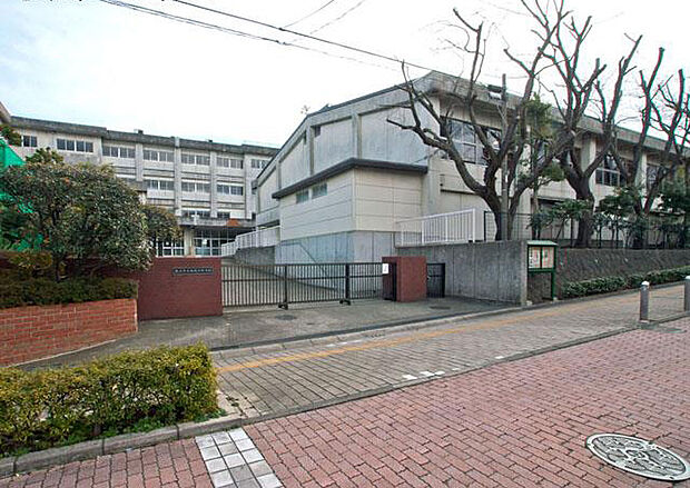 中学校 1100m 藤沢市立湘南台中学校