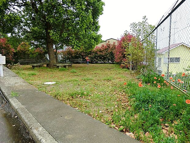 公園 1000m 片岡稲荷山公園