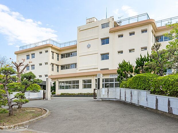小学校 350m 平塚市立花水小学校