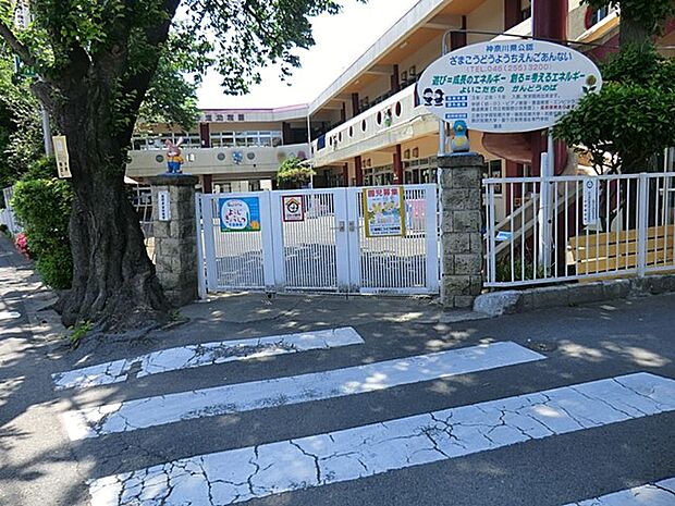 幼稚園・保育園 590m 座間孝道幼稚園