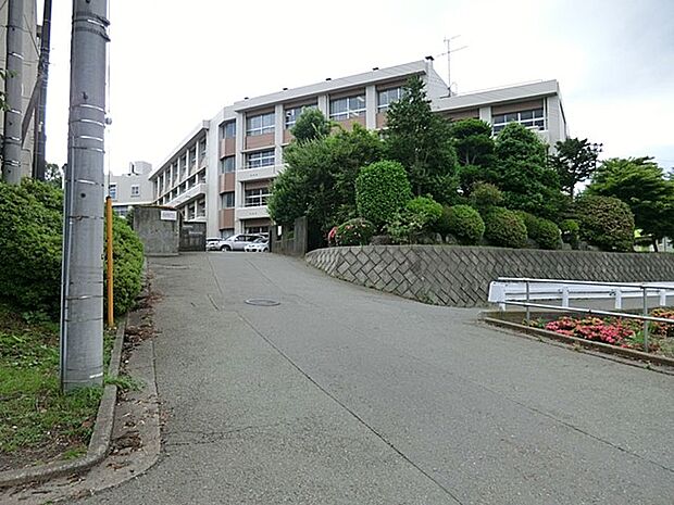 中学校 1500m 相模原市立相模丘中学校