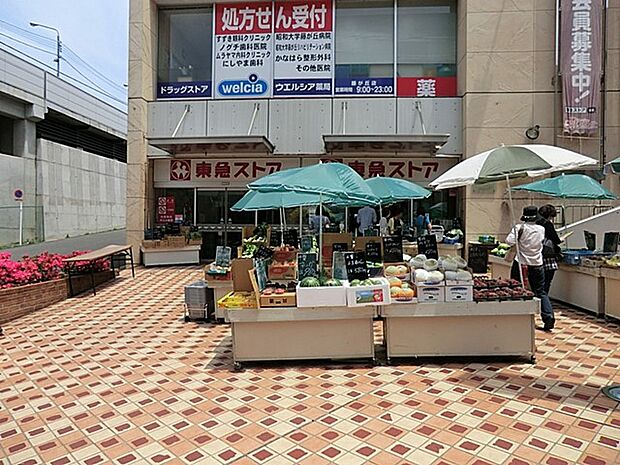 スーパー 1300m 東急ストア藤が丘店