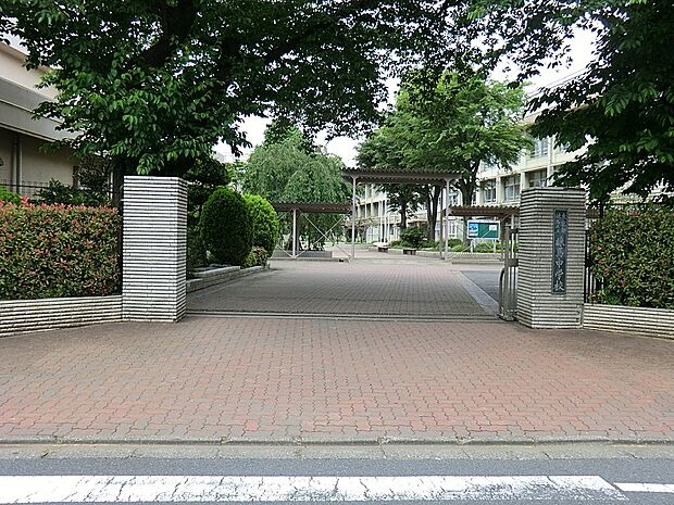 中学校 365m 練馬区立練馬中学校
