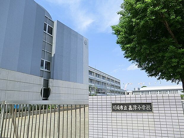 小学校 850m 川崎市立高津小学校