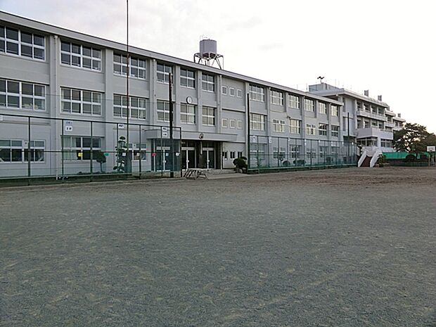 小学校 1500m 伊勢原市立伊勢原小学校