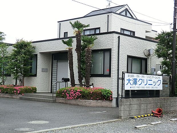 病院 2160m 大澤クリニック