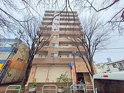 サンアリーナ相模原西門桜通り