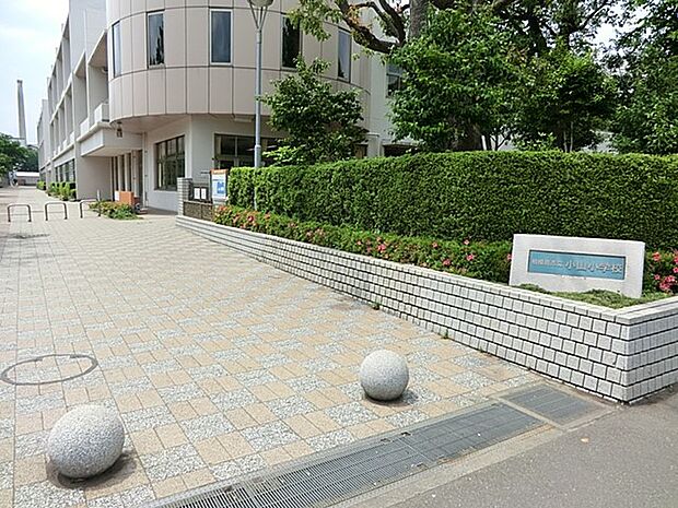 小学校 210m 町田市立小山小学校