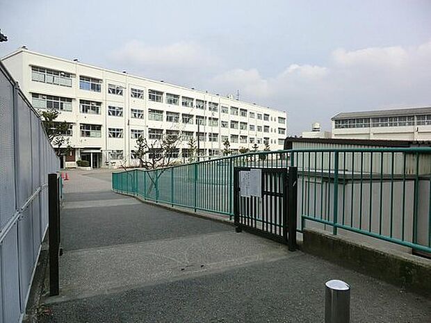 小学校 300m 横浜市立笹野台小学校