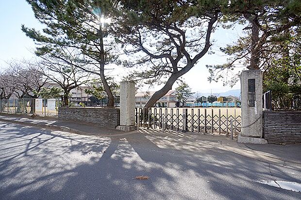 小学校 980m 小田原市立下府中小学校