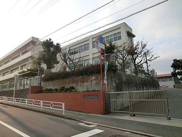 小学校 600m 横浜市立丸山台小学校