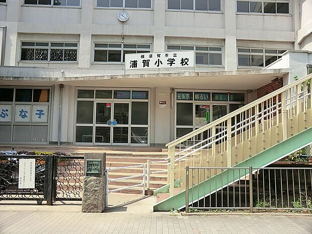 小学校 550m 横須賀市立浦賀小学校
