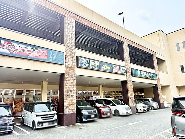 スーパー 800m 食品館あおば 大井松田店