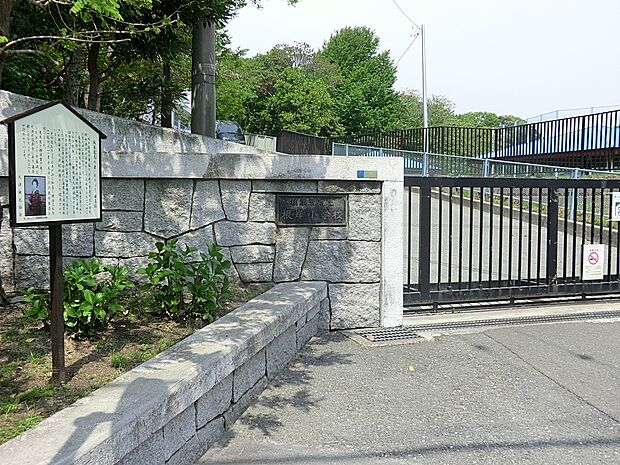 小学校 1870m 横須賀市立根岸小学校