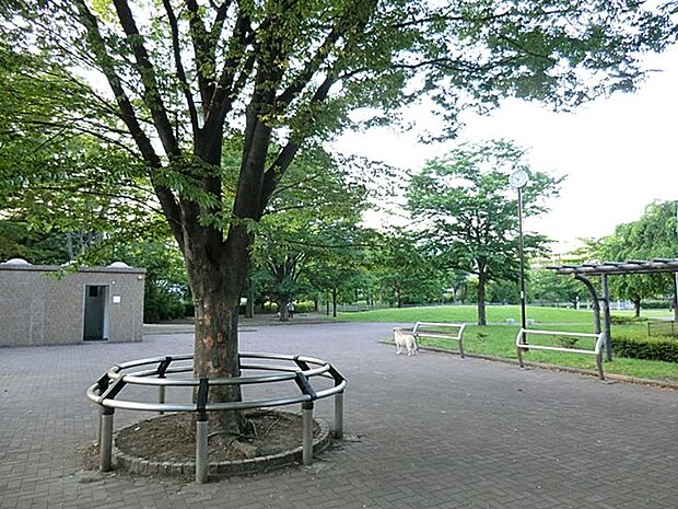 公園 550m 四谷さくら公園