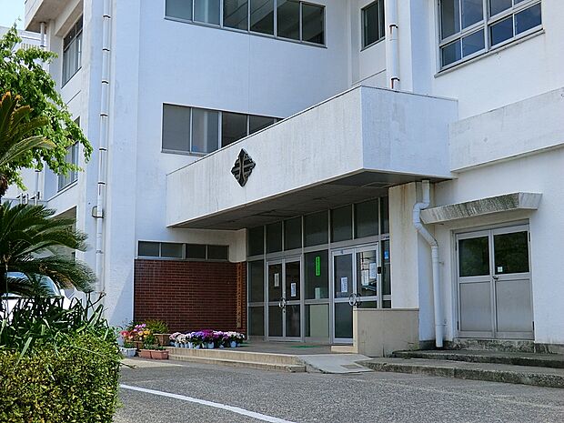 小学校 1000m 横須賀市立衣笠小学校