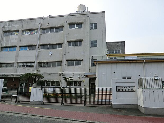 小学校 440m 横浜市立桂台小学校