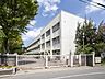 周辺：小学校 508m 調布市立第三小学校