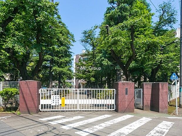 中学校 290m 府中市立府中第四中学校