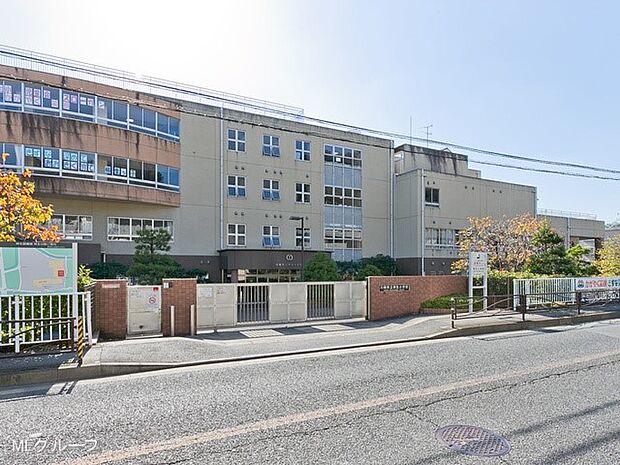 小学校 700m 川崎市立柿生小学校