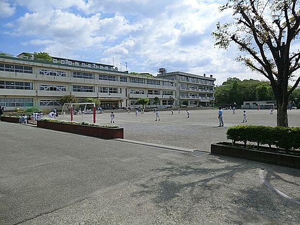 小学校 1500m 町田市立鶴川中央小学校