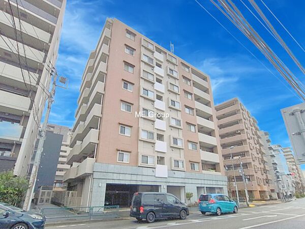 外観：313004688100