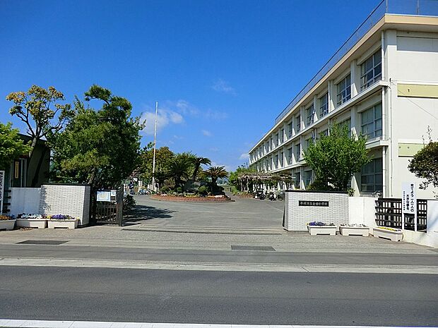 小学校 1500m 平塚市立金田小学校