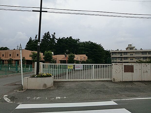 小学校 460m 相模原市立大野台小学校