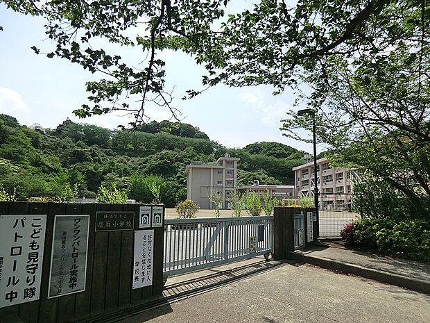 小学校 700m 横須賀市立鷹取小学校