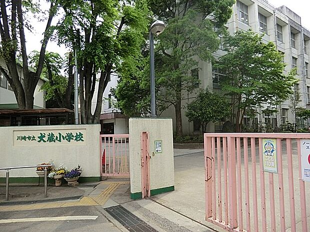 小学校 550m 川崎市立犬蔵小学校