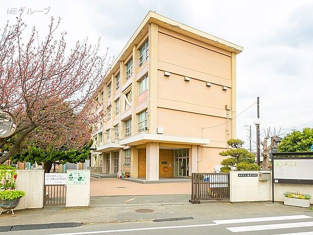 中学校 550m 藤沢市立鵠沼中学校
