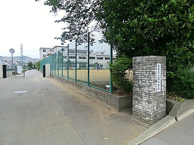 中学校 240m 秦野市立西中学校