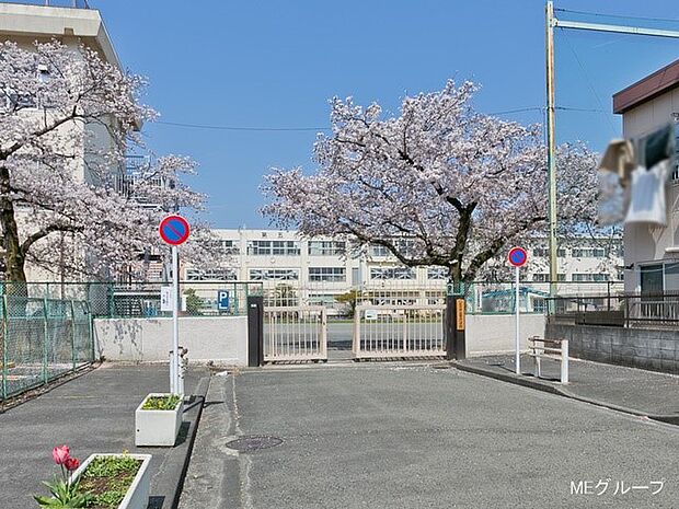 小学校 480m 八王子市立第五小学校
