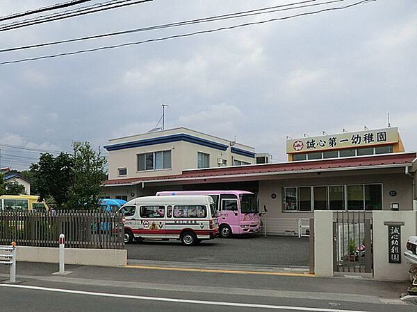 幼稚園・保育園 300m 誠心こども園