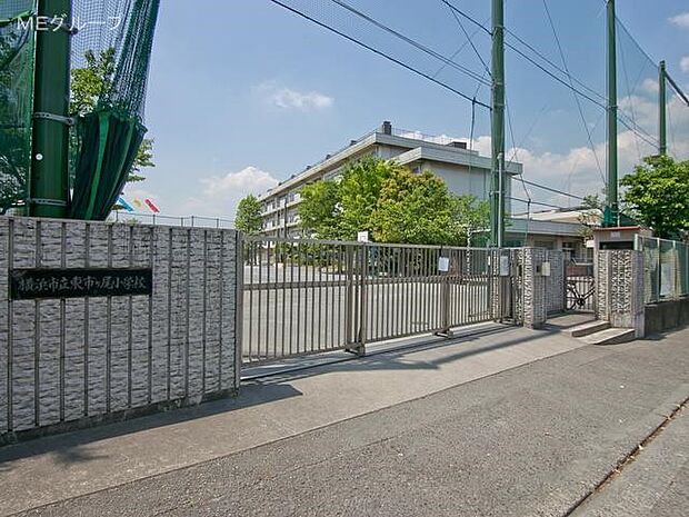 小学校 620m 横浜市立東市ヶ尾小学校