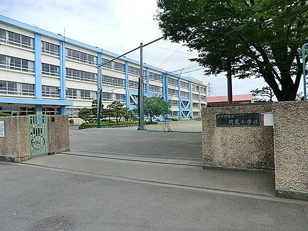 小学校 900m 茅ヶ崎市立円蔵小学校