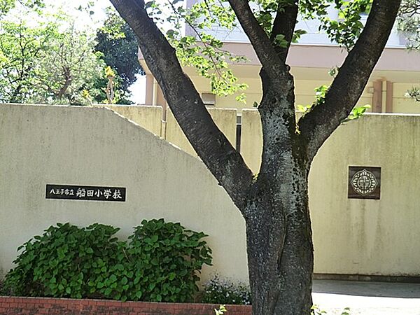 小学校 300m 八王子市立船田小学校