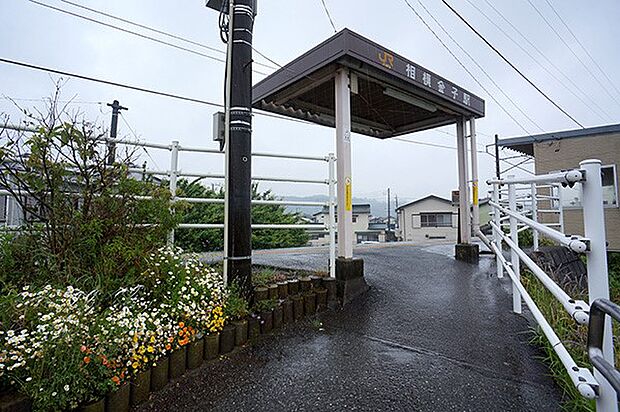 駅 800m JR御殿場線「相模金子」駅