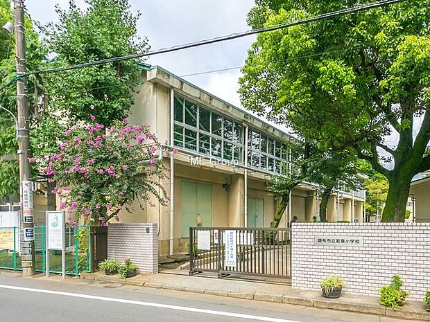 小学校 900m 調布市立若葉小学校