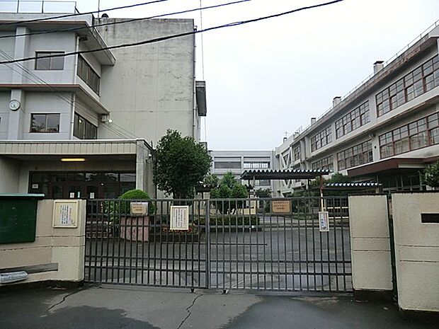中学校 800m 立川市立第五中学校