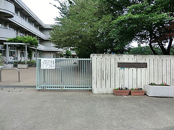 小学校 1000m 相模原市立淵野辺東小学校