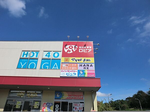 スーパー 4100m ロピア 八王子みなみ野店